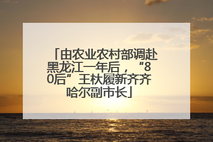 由农业农村部调赴黑龙江一年后，“80后”王杕履新齐齐哈尔副市长