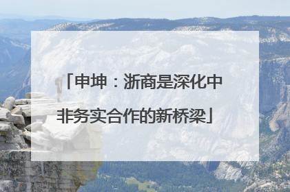 申坤：浙商是深化中非务实合作的新桥梁
