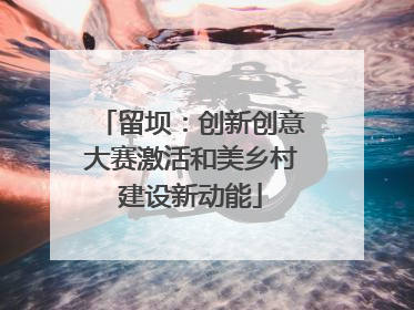 留坝：创新创意大赛激活和美乡村建设新动能