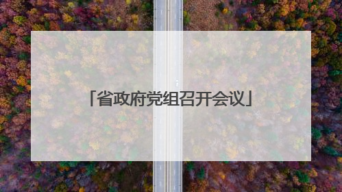省政府党组召开会议