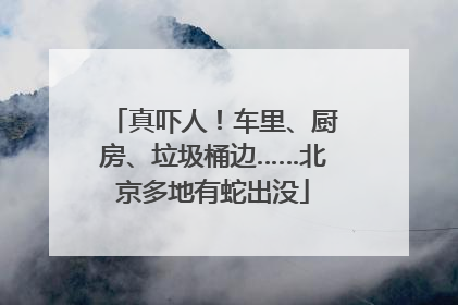 真吓人！车里、厨房、垃圾桶边……北京多地有蛇出没