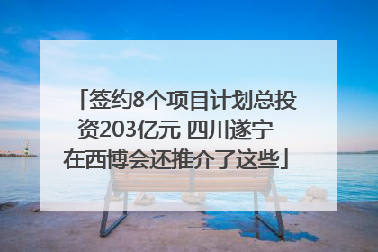 签约8个项目计划总投资203亿元 四川遂宁在西博会还推介了这些