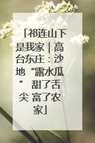 祁连山下是我家｜高台东庄：沙地“露水瓜” 甜了舌尖 富了农家