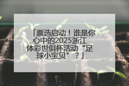 票选启动！谁是你心中的2025浙江体彩世俱杯活动“足球小宝贝”？