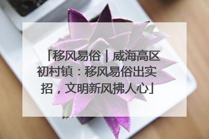 移风易俗｜威海高区初村镇：移风易俗出实招，文明新风拂人心