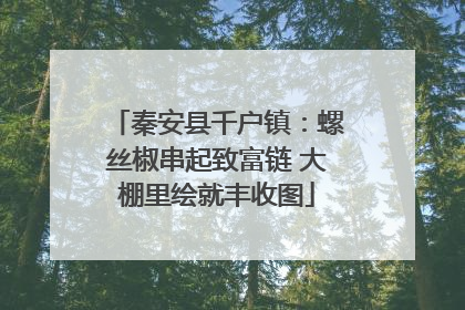 秦安县千户镇：螺丝椒串起致富链 大棚里绘就丰收图
