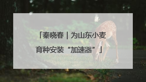 秦晓春｜为山东小麦育种安装“加速器”