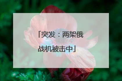 突发：两架俄战机被击中