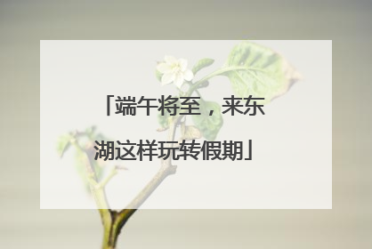 端午将至，来东湖这样玩转假期