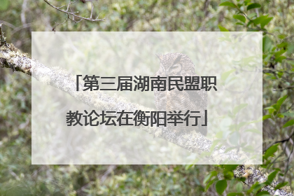 第三届湖南民盟职教论坛在衡阳举行