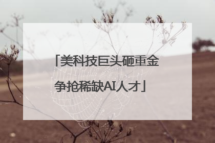 美科技巨头砸重金争抢稀缺AI人才