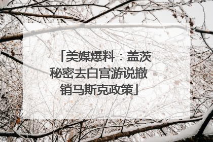 美媒爆料：盖茨秘密去白宫游说撤销马斯克政策