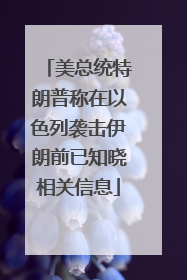 美总统特朗普称在以色列袭击伊朗前已知晓相关信息