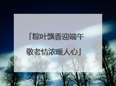 粽叶飘香迎端午 敬老情浓暖人心
