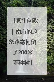 紫牛问政｜南京的这条路缘何留了200米不种树