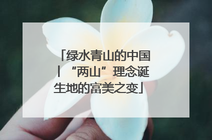 绿水青山的中国丨“两山”理念诞生地的富美之变
