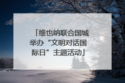 维也纳联合国城举办“文明对话国际日”主题活动