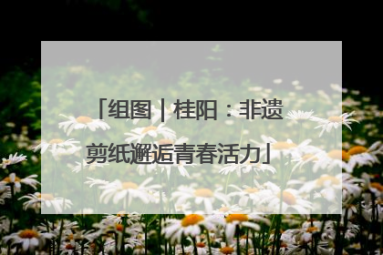 组图｜桂阳：非遗剪纸邂逅青春活力