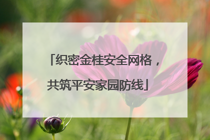 织密金桂安全网格，共筑平安家园防线