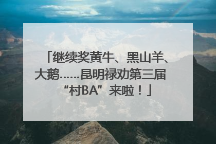 继续奖黄牛、黑山羊、大鹅……昆明禄劝第三届“村BA”来啦！