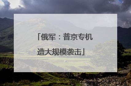 俄军：普京专机遭大规模袭击
