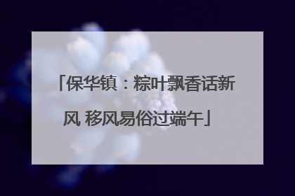 保华镇：粽叶飘香话新风 移风易俗过端午