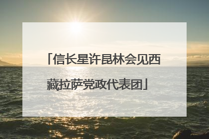信长星许昆林会见西藏拉萨党政代表团
