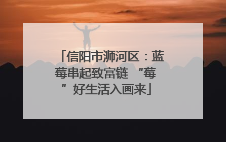 信阳市浉河区：蓝莓串起致富链 “莓”好生活入画来