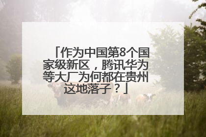 作为中国第8个国家级新区，腾讯华为等大厂为何都在贵州这地落子？
