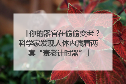 你的器官在偷偷变老？科学家发现人体内藏着两套“衰老计时器”