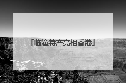 临潼特产亮相香港
