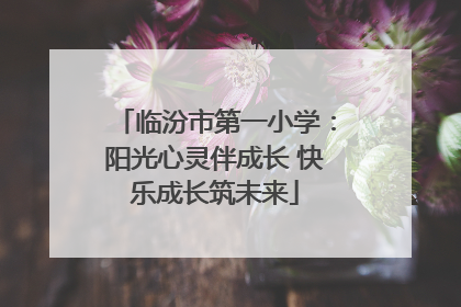 临汾市第一小学：阳光心灵伴成长 快乐成长筑未来