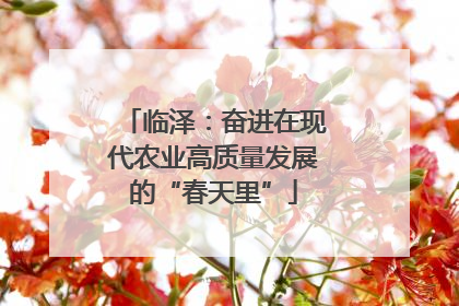 临泽：奋进在现代农业高质量发展的“春天里”