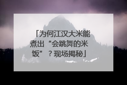 为何江汉大米能煮出“会跳舞的米饭”？现场揭秘