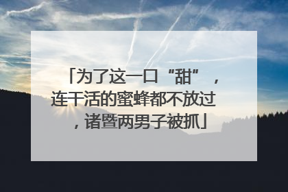 为了这一口“甜”，连干活的蜜蜂都不放过，诸暨两男子被抓