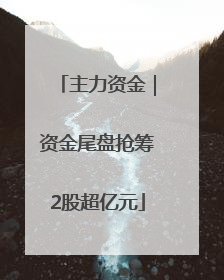 主力资金｜资金尾盘抢筹2股超亿元