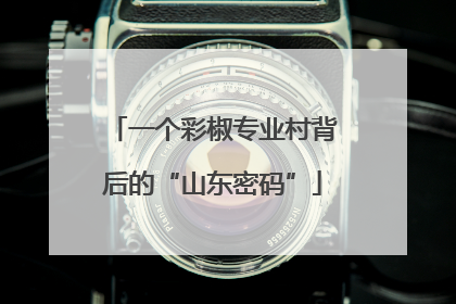 一个彩椒专业村背后的“山东密码”