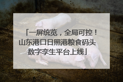 一屏统览，全局可控！山东港口日照港粮食码头数字孪生平台上线