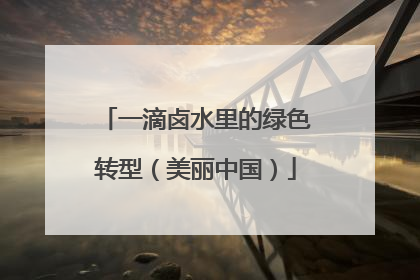 一滴卤水里的绿色转型（美丽中国）