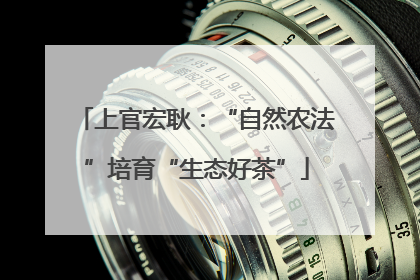 上官宏耿：“自然农法”培育“生态好茶”