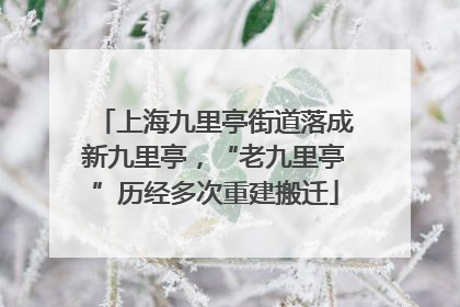 上海九里亭街道落成新九里亭，“老九里亭”历经多次重建搬迁