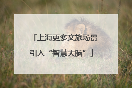上海更多文旅场景引入“智慧大脑”