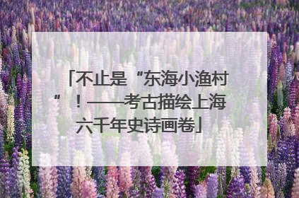 不止是“东海小渔村”！——考古描绘上海六千年史诗画卷