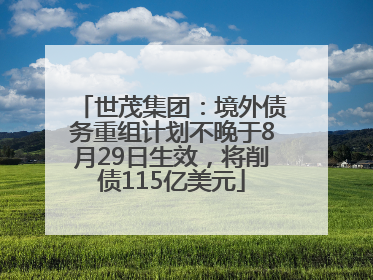 世茂集团：境外债务重组计划不晚于8月29日生效，将削债115亿美元