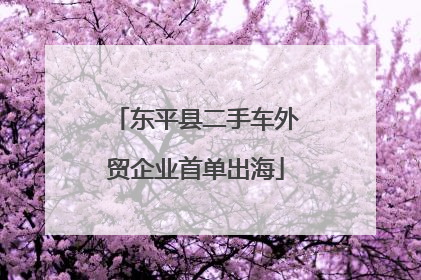 东平县二手车外贸企业首单出海