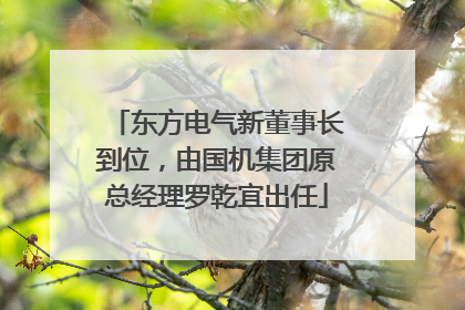 东方电气新董事长到位，由国机集团原总经理罗乾宜出任