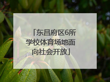 东昌府区6所学校体育场地面向社会开放