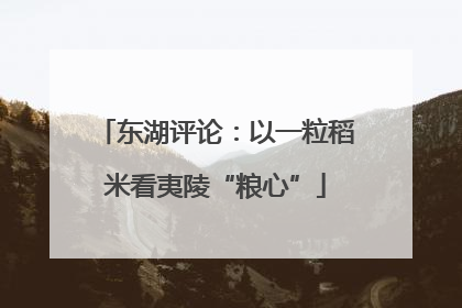 东湖评论：以一粒稻米看夷陵“粮心”