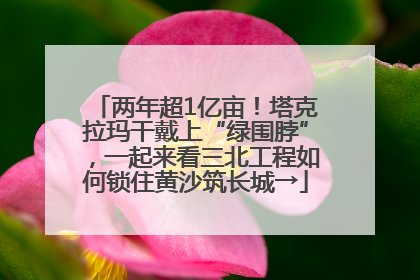 两年超1亿亩！塔克拉玛干戴上“绿围脖”，一起来看三北工程如何锁住黄沙筑长城→