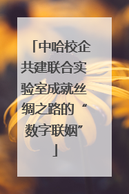中哈校企共建联合实验室成就丝绸之路的“数字联姻”